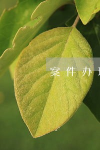 案件办理监督 法律援助 案件办理监督 法律援助